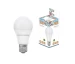 Bec LED A55 7W 6500K E27 NARODNAYA TDM